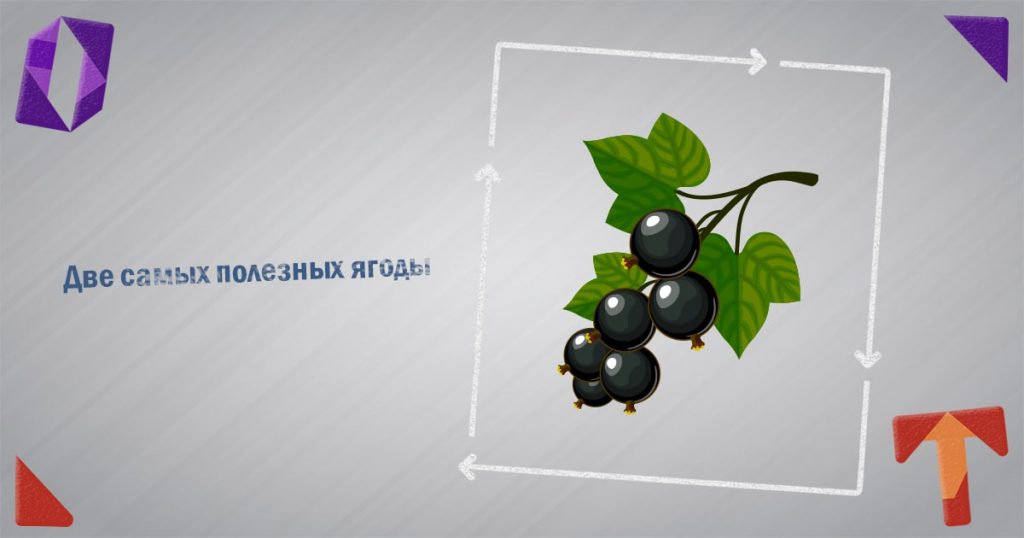 Две самых полезных ягоды Obmentovarov